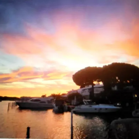 Marina Sunset